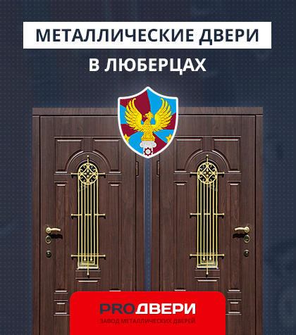 Металические двери в Люберцах