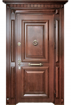 Фотография «Парадная дверь №225»